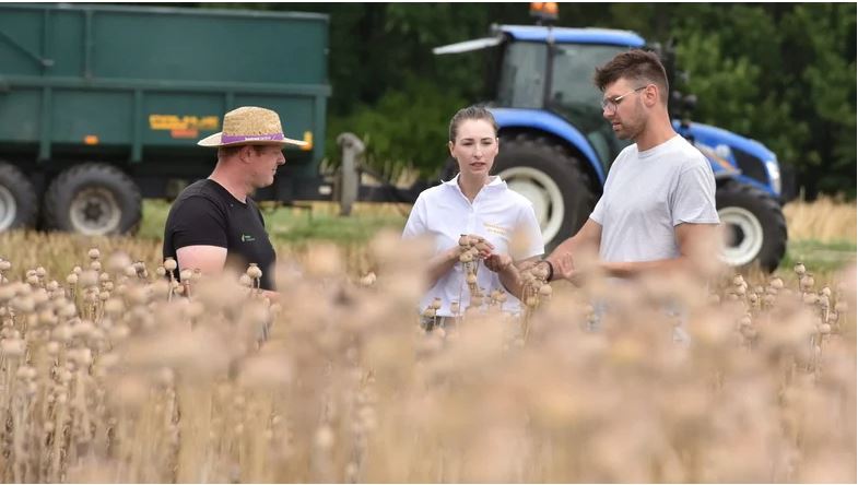 Man sieht Menschen innerhalb eines landwirtschaftlichen Feldes.