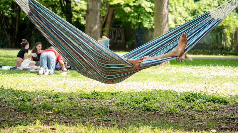 Man sieht Menschen im Park