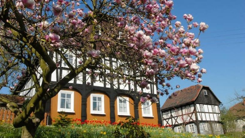 Umgebindeh&auml;user in der Oberlausitz: Sch&ouml;n anzusehen, aber wer will darin wohnen oder es kaufen? (Archivbild)
Quelle: Matthias Weber (Archiv)