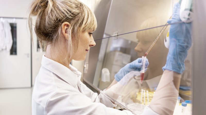 Eine Frau untersucht eine Probe in einem Labor